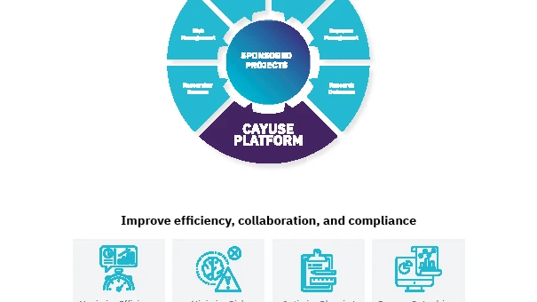 Minimalist and professional website design for a Dubai-Based Education Advisory company