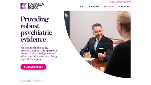 Visual process map showing how medico-legal psychiatric reports are produced at Kapadia Rose