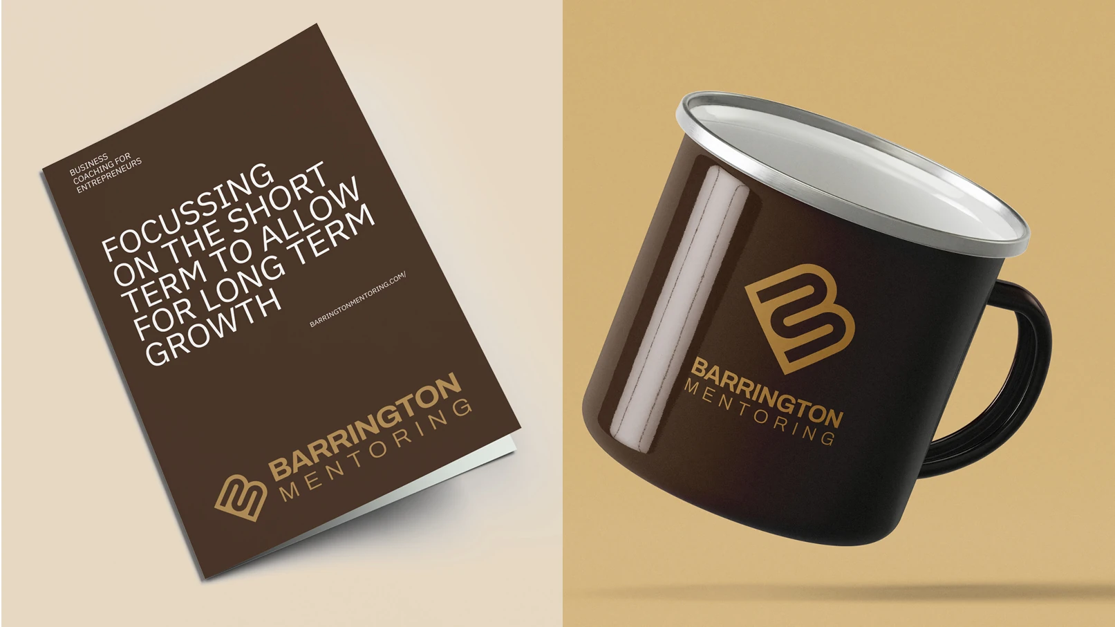 barrington-mentoring-brochure-design-and-merchandise