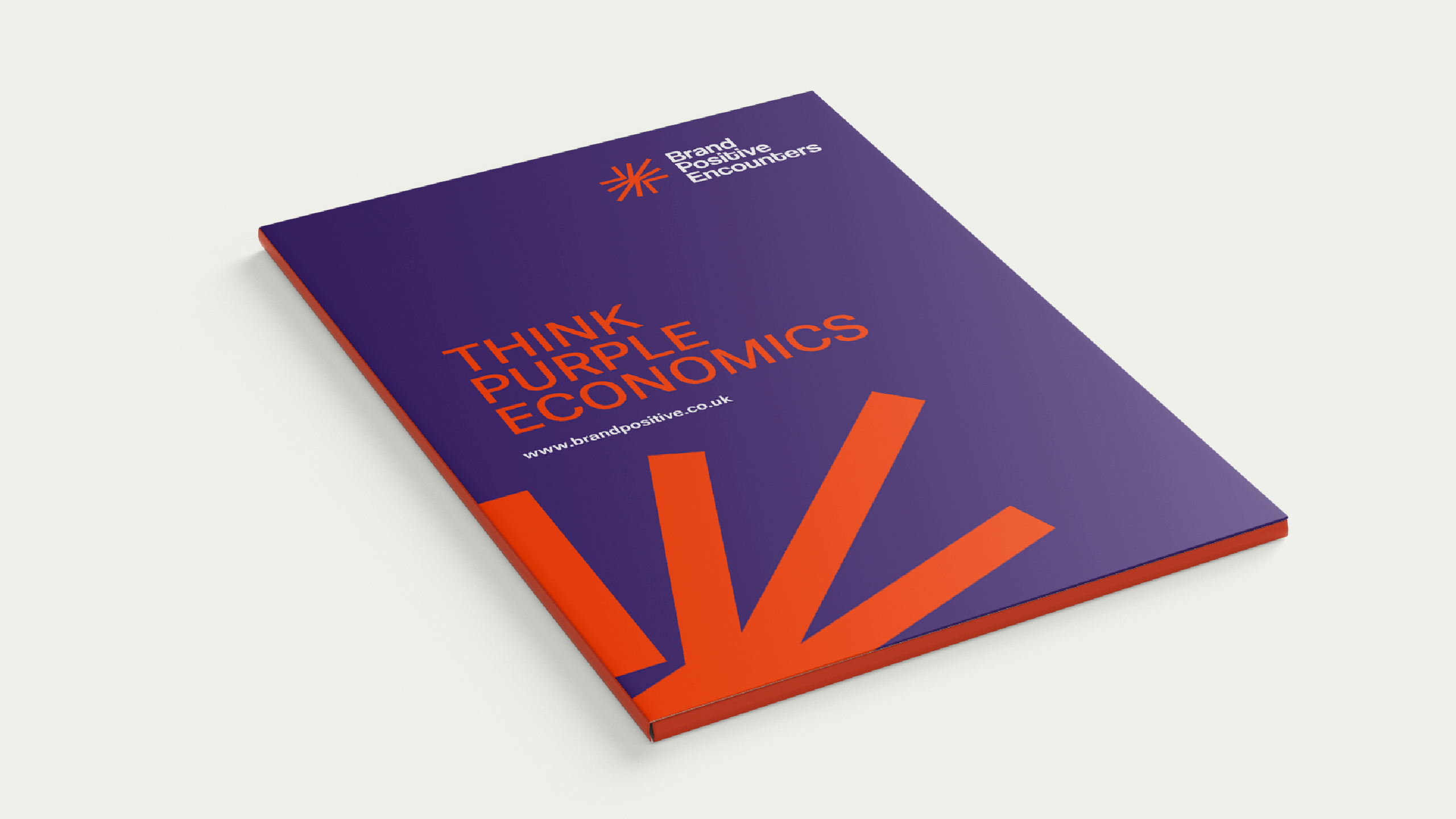 Think Purple Economics brochure cover for Brand Positive Encounters accessibility consultancy